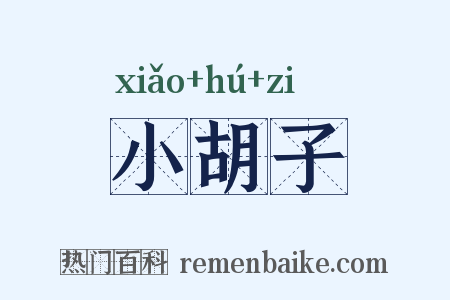 小胡子是什么意思的图片
